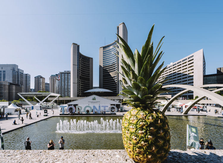 Toronto Pineapple